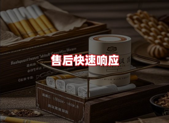 专业团队